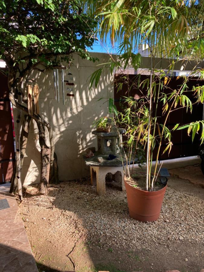 Violeta'S House Apartment Cancun Exterior photo