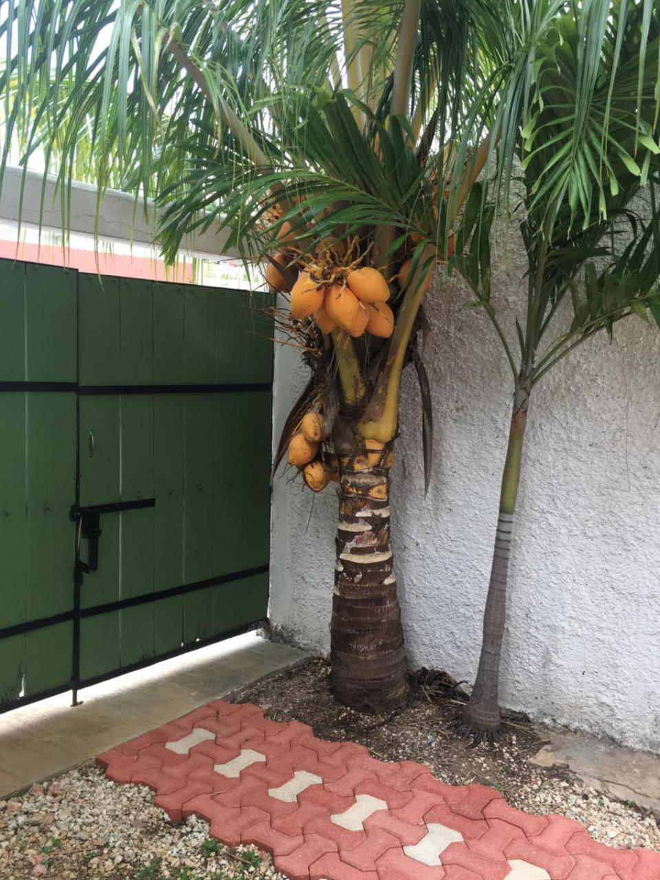 Violeta'S House Apartment Cancun Exterior photo